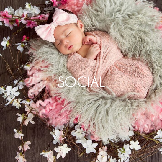 SVE Social